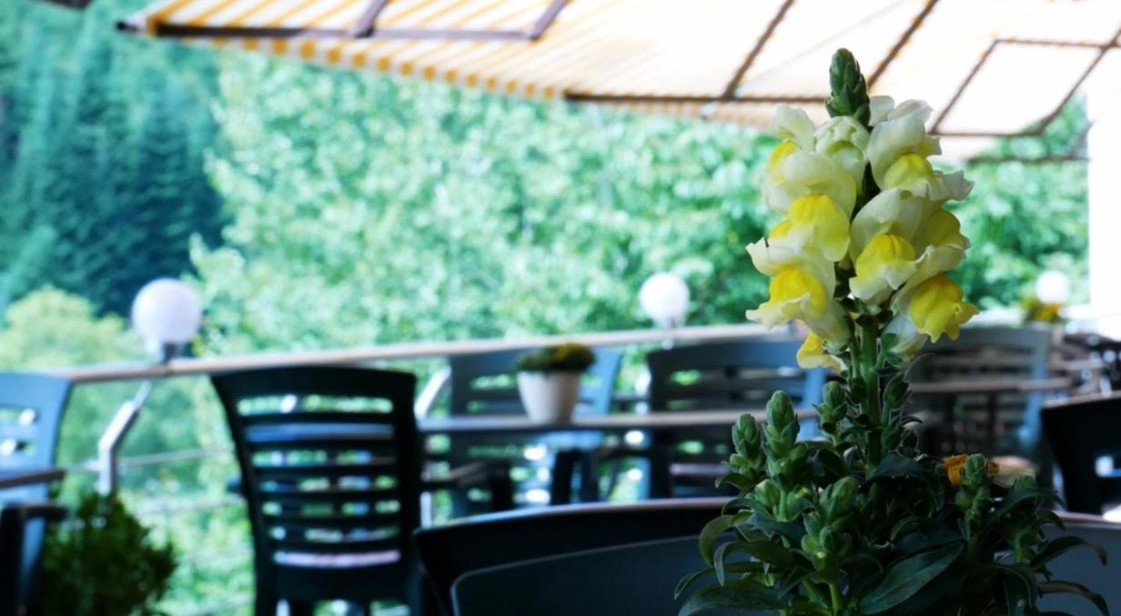 Hotel Cafe Waldeck Wuestenrot Bagian luar foto